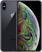 10 xs max 256