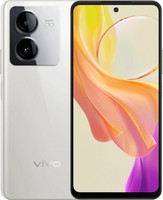 /i/goods/12/VIVO-Y100I-POWER.jpg