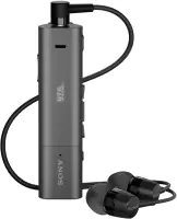 /i/goods/18/SONY-SBH54.webp